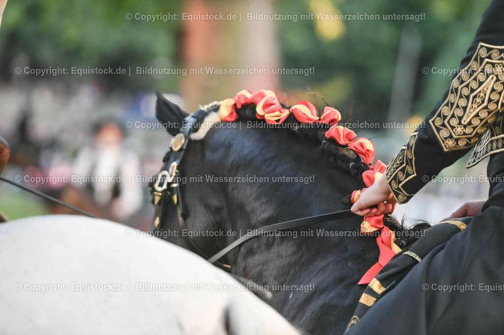 20230526_Pferdenacht_0794 | equistock