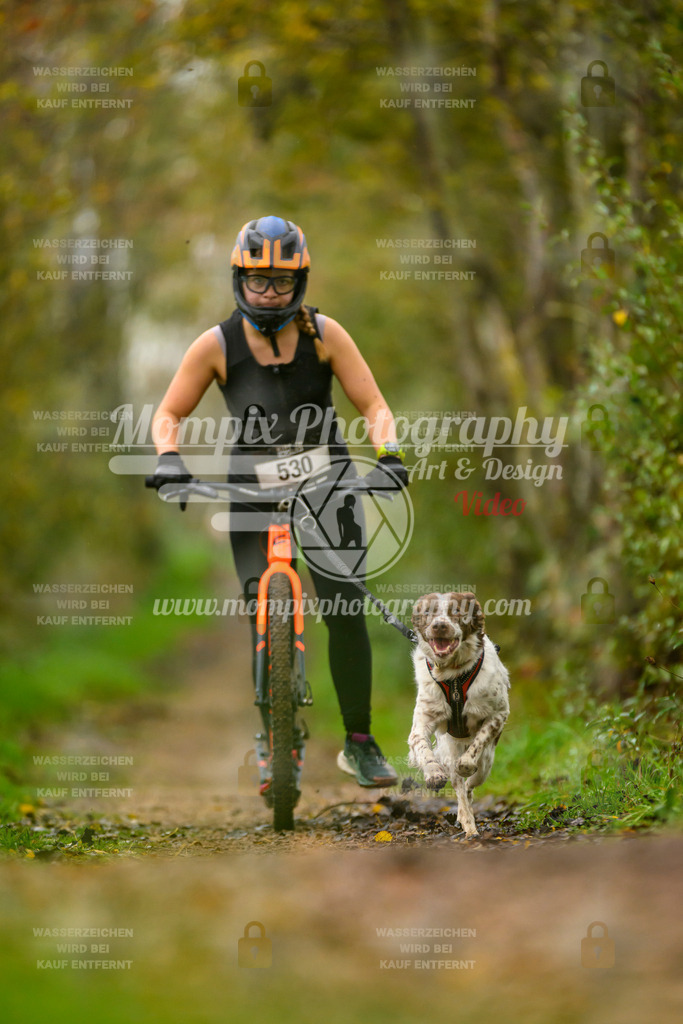 MompixPhotography_20TSB_E6_DS1-74 | PayLife