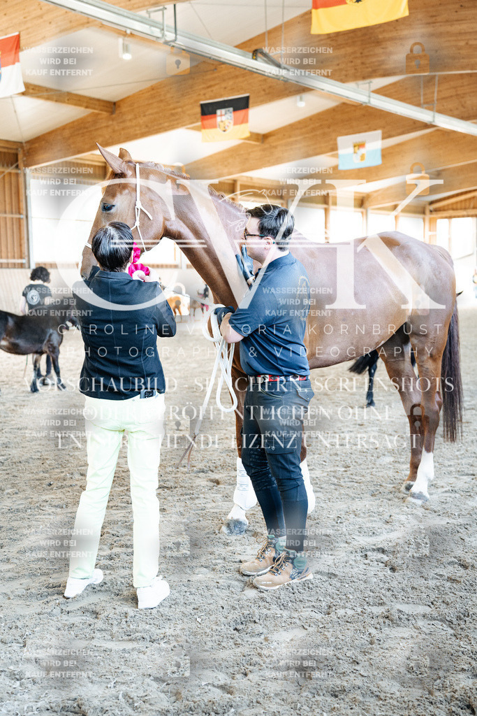 CK703189 | Turnierfotografie Pferdefotografie Trier Rheinland-Pfalz Pferdesport Reitsport Tierfotografie Sportfotografie Pferdevideo Pferdevideografie Equestrianvideography equestrianphotography  - Realized with Pictrs.com
