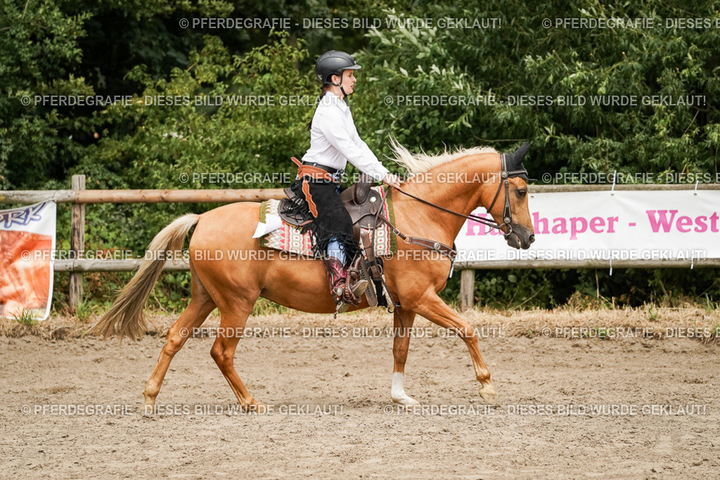 DSC00281 | Pferdegrafie