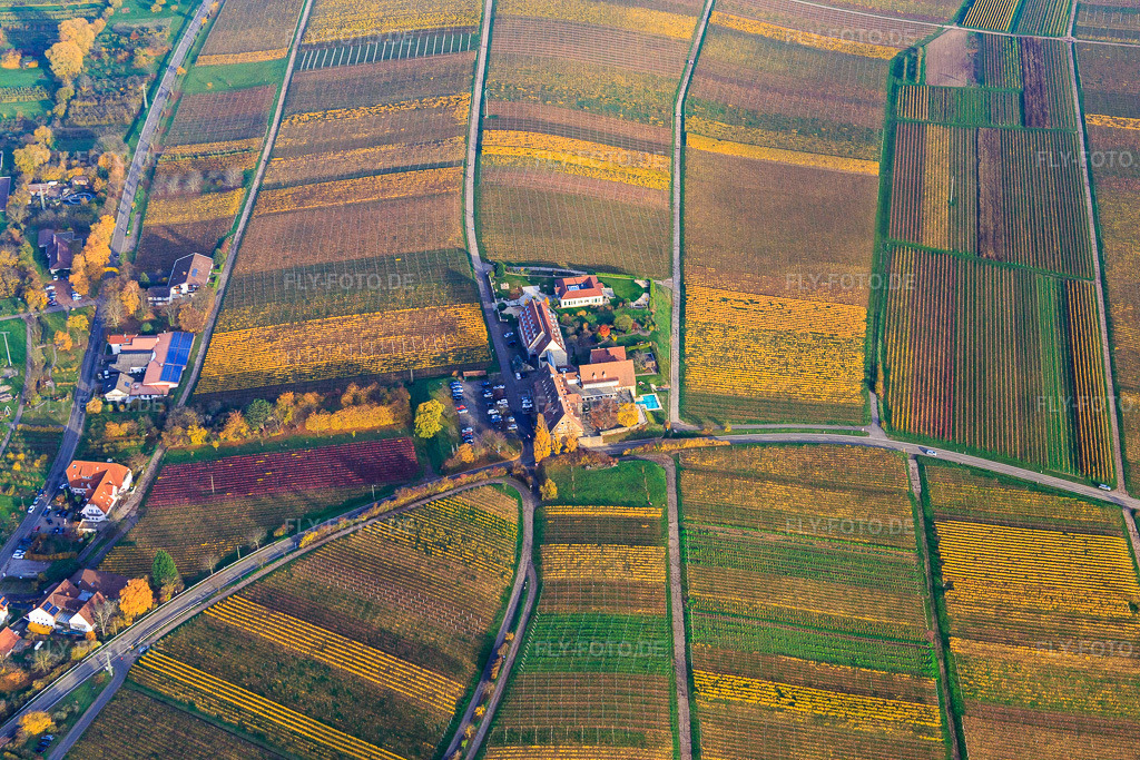 Luftbild: Hotel Leinsweiler im Herbstlaub Hof in Leinsweiler im Bundesland Rheinland-Pfalz in Deutschland. Foto: IMG_085168.jpg vom 08.11.2015 durch Werner Riehm/FLY-FOTO.deUnvergessliche Momente im Urlaub - Leinsweiler Hof