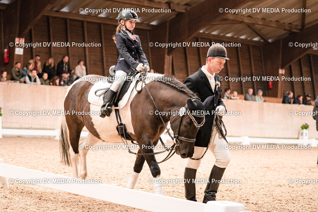 Dressur Tag 3-538 | dv-media-shop - Realisiert mit Pictrs.com