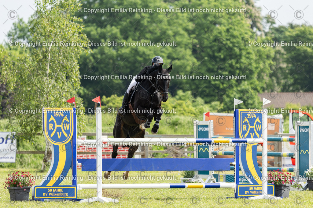 CL5A2731 | Emilia Reinking Fotografie - Realisiert mit Pictrs.com