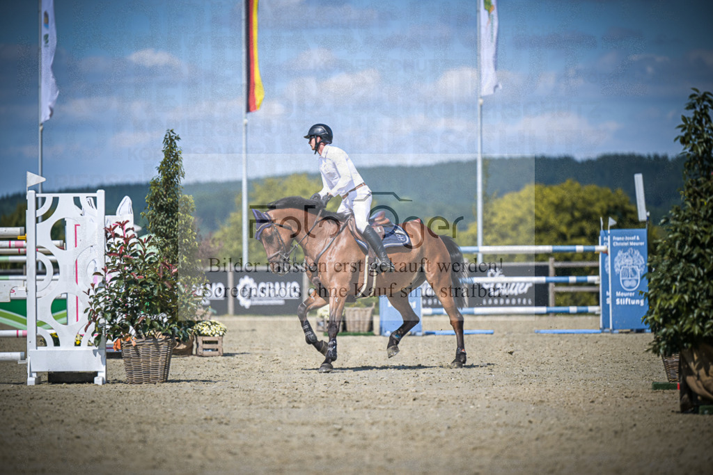DOS_4646 | Entdecke hochwertige Reitturnierfotos von Foto Oger. Professionell, emotional und authentisch – jetzt Lieblingsmomente im Shop bestellen.Deutschlandweite Turnierfotografie. - Realisiert mit Pictrs.com