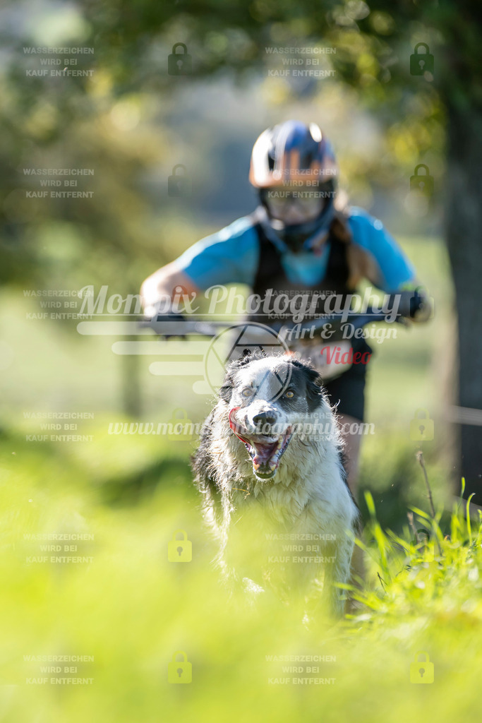 MompixPhotography_20TSB_E3_DS1-91 | PayLife