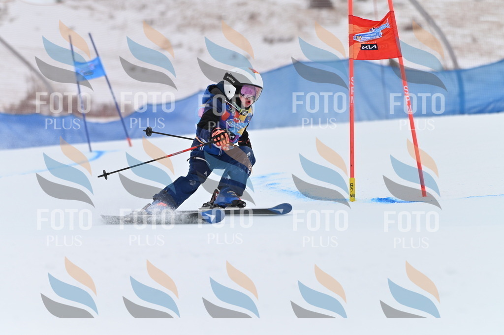 BGV_2288 | holidayphoto