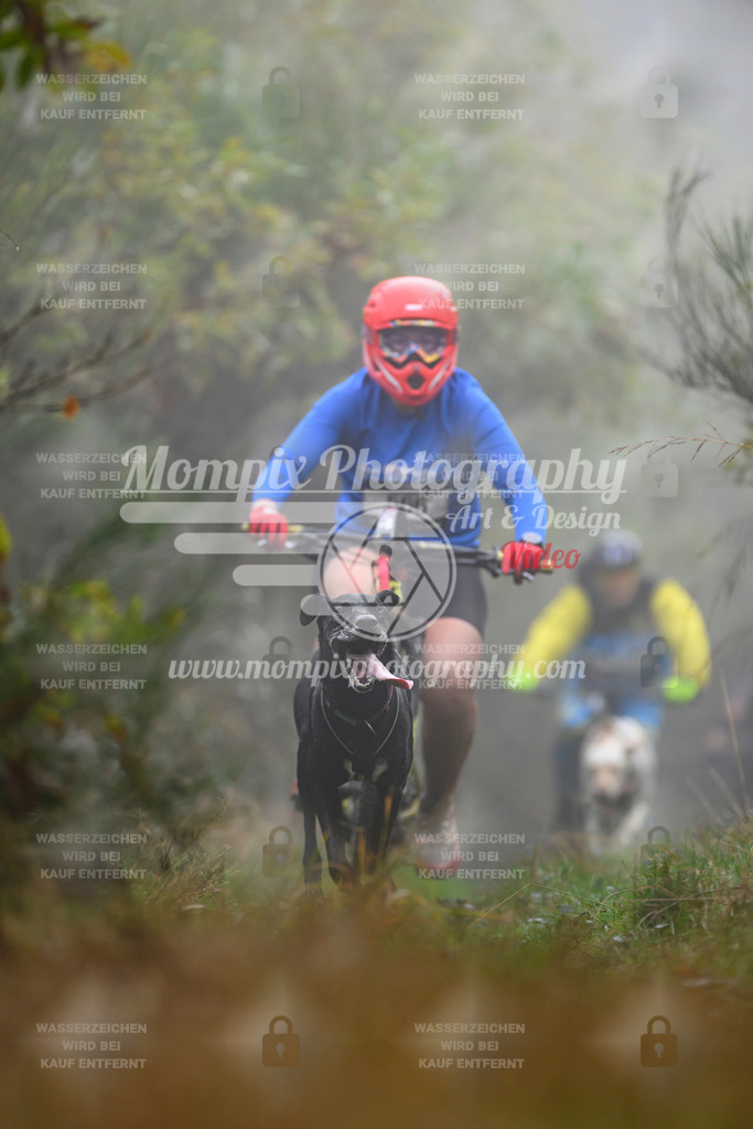 MompixPhotography_20TSB_E4_Bike-115 | PayLife