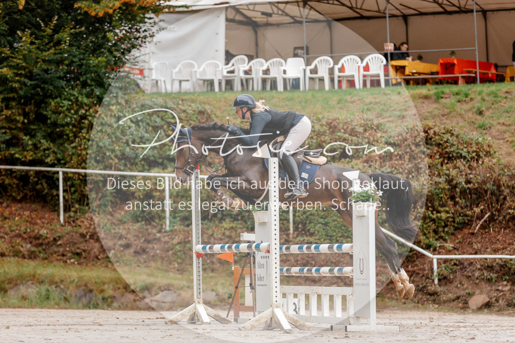 3I6A5589 | Stimmungsvolle Portraits und Reitsportfotografie im Ruhrgebiet und im Münsterland.

Pferdefotografie, Hundefotografie, Tierfotografie, Reportagen, Portraits von Tier und Mensch, Turnierfotografie in Bochum, Recklinghausen, Marl, Haltern am See, Dülmen.. - Realisiert mit Pictrs.com
