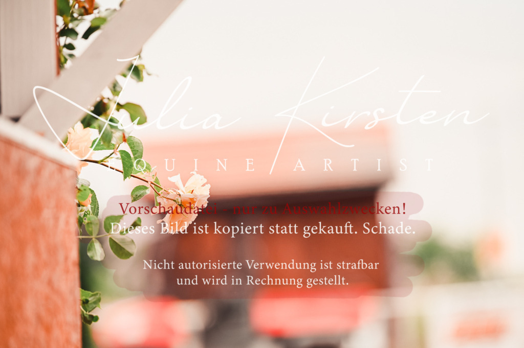 DSC_5184 | Pferde- und Turnierfotografie in Westsachsen. Pferdeportraits, Auftragszeichnungen und intuitive Kunst.