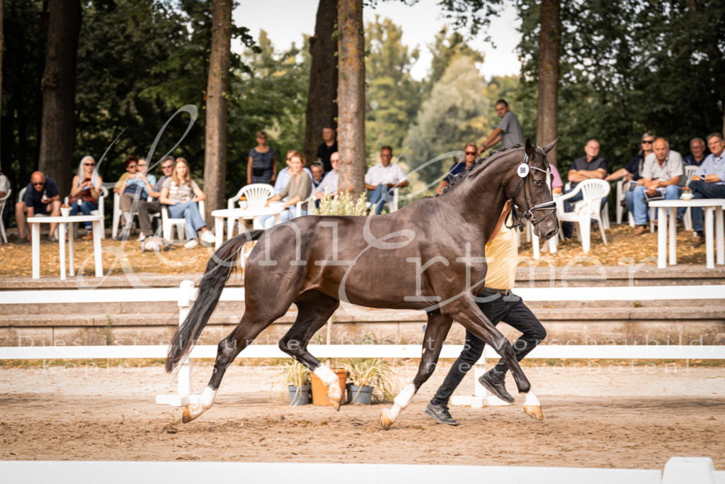 7.Fr00091 | Leoni Ertmer Photography - Realisiert mit Pictrs.com