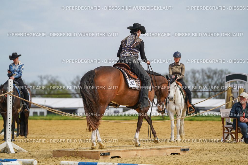 DSC03926 | Pferdegrafie