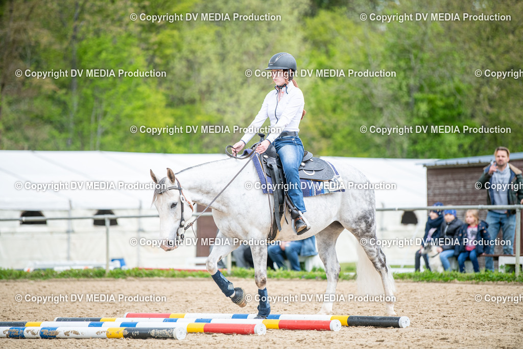 Heiligenwald Tag 1-1271 | dv-media-shop - Realisiert mit Pictrs.com