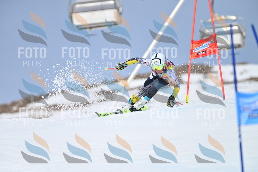 BGV_3825 | holidayphoto