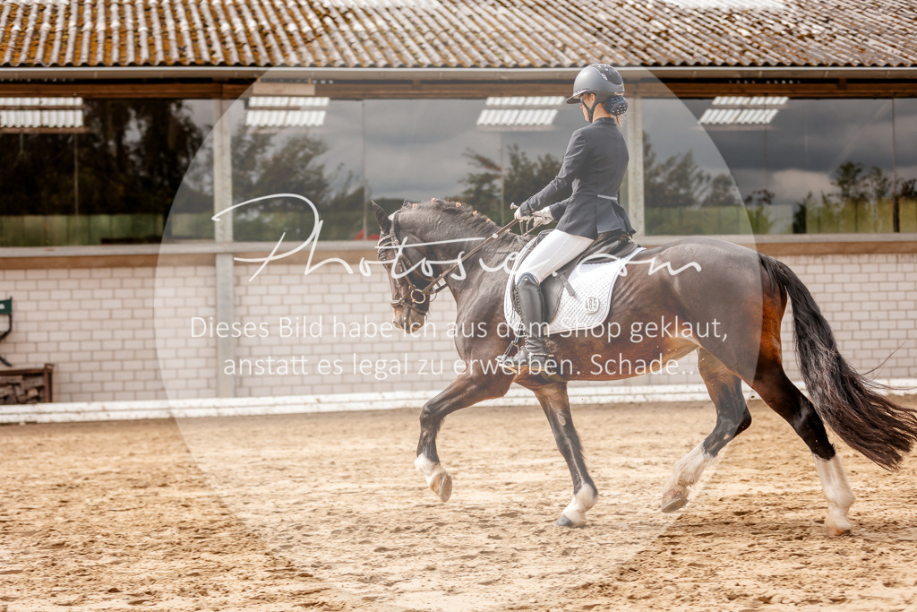 3I6A7497 | Stimmungsvolle Portraits und Reitsportfotografie im Ruhrgebiet und im Münsterland.

Pferdefotografie, Hundefotografie, Tierfotografie, Reportagen, Portraits von Tier und Mensch, Turnierfotografie in Bochum, Recklinghausen, Marl, Haltern am See, Dülmen.. - Realisiert mit Pictrs.com