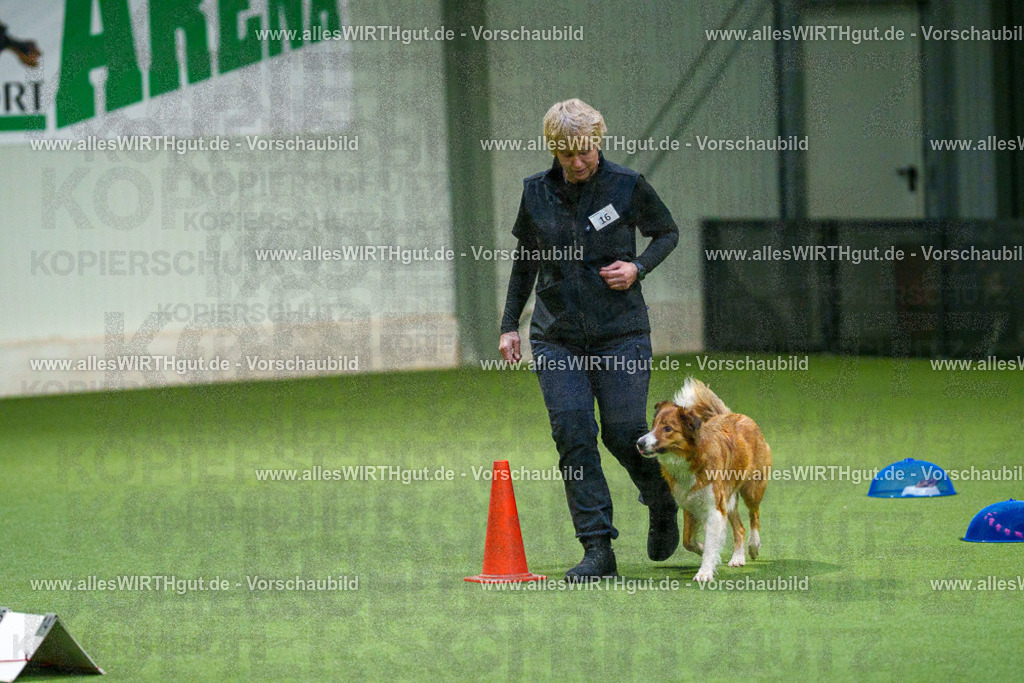 7R505469 | Professionelle Tierfotografie in Mönchengladbach von Daniel Wirth (allesWIRTHgut). Liebevolle & natürliche Bilder von Hunden & Katzen für unvergessliche Erinnerungen.