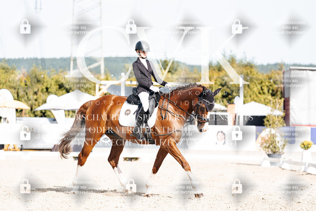 CK905593 | Turnierfotografie Pferdefotografie Trier Rheinland-Pfalz Pferdesport Reitsport Tierfotografie Sportfotografie Pferdevideo Pferdevideografie Equestrianvideography equestrianphotography  - Realisiert mit Pictrs.com