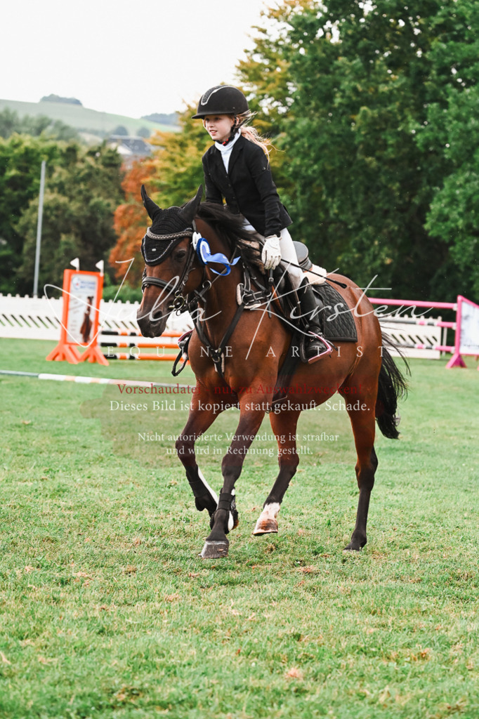 DSC_6711 | Pferde- und Turnierfotografie in Westsachsen. Pferdeportraits, Auftragszeichnungen und intuitive Kunst.