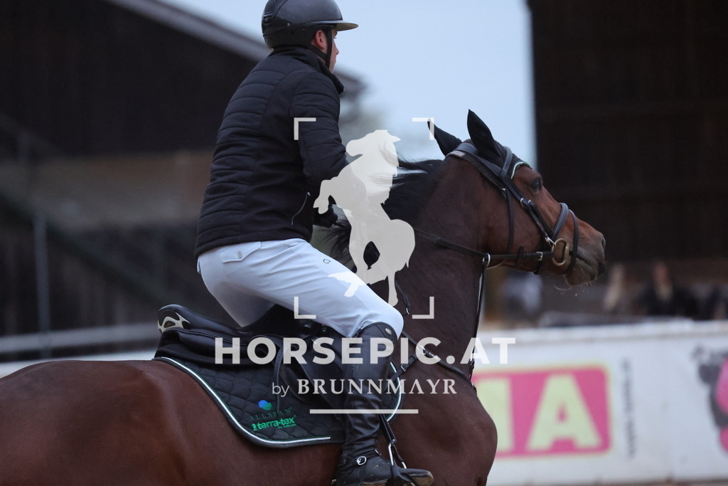 0P6A5178 | Willkommen bei Brunnmayr - Design & Fotografie – Ihrem Spezialisten für Reitturniere und Pferdeveranstaltungen in Oberösterreich, Salzburg und Bayern! Seit über 17 Jahren sind wir leidenschaftlich dabei.