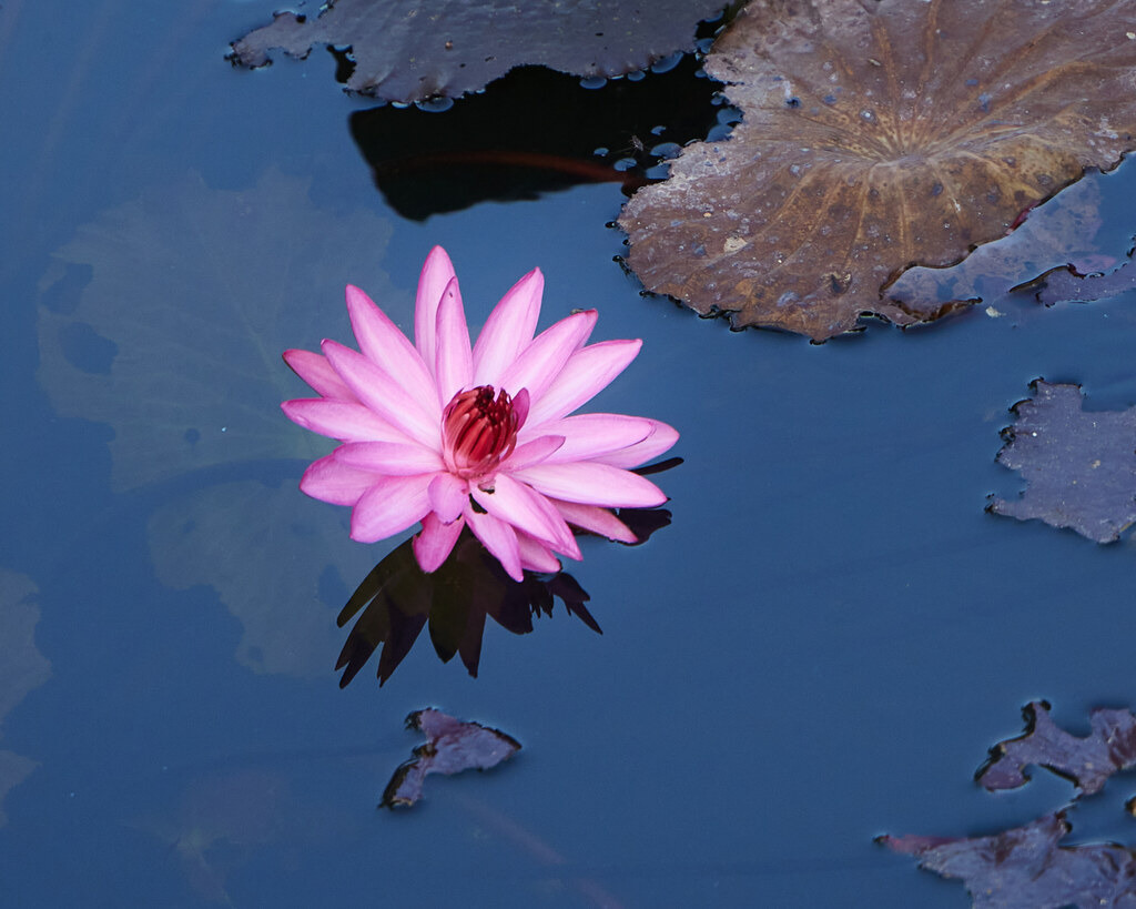 2025_01 Kamala 052 | Alle Rechte Vorbehalten  - Realisiert mit Pictrs.com