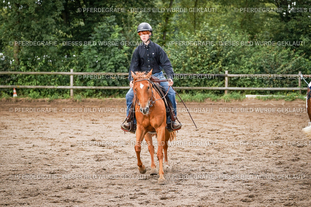 DSC08890 | Pferdegrafie