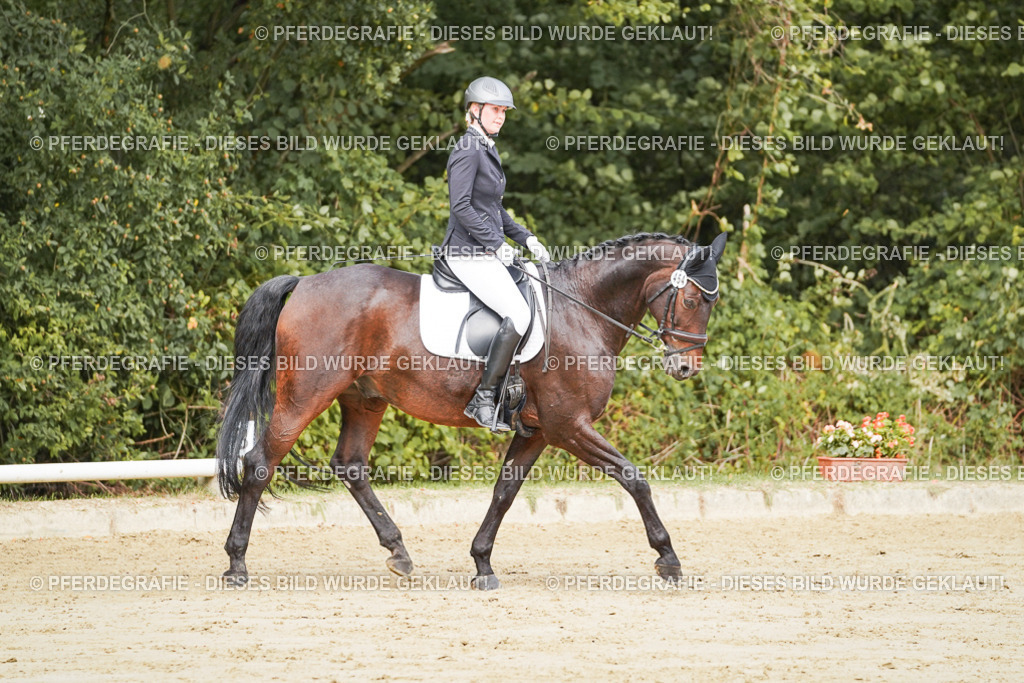 DSC01746 | Pferdegrafie