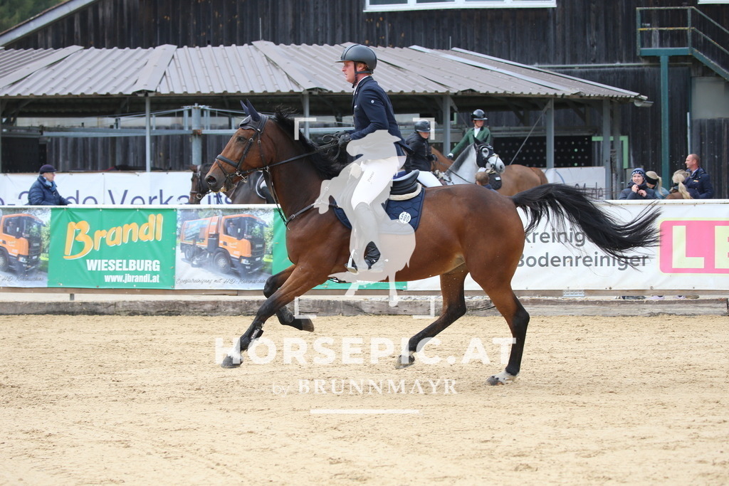 DL2Q1949 | Willkommen bei Brunnmayr - Design & Fotografie – Ihrem Spezialisten für Reitturniere und Pferdeveranstaltungen in Oberösterreich, Salzburg und Bayern! Seit über 17 Jahren sind wir leidenschaftlich dabei.