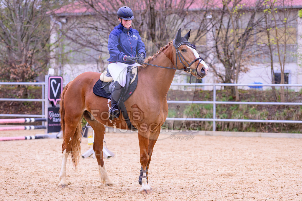 12042026-Mammendorf-Prfg40-1154 | Fokus Hufschlag Fotografie - Realisiert mit Pictrs.com