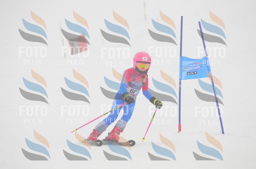 C1137 | holidayphoto