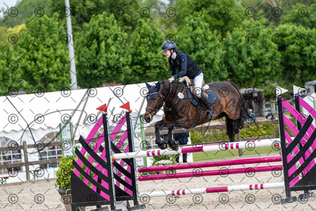 KPT_8931 | andre_photographic