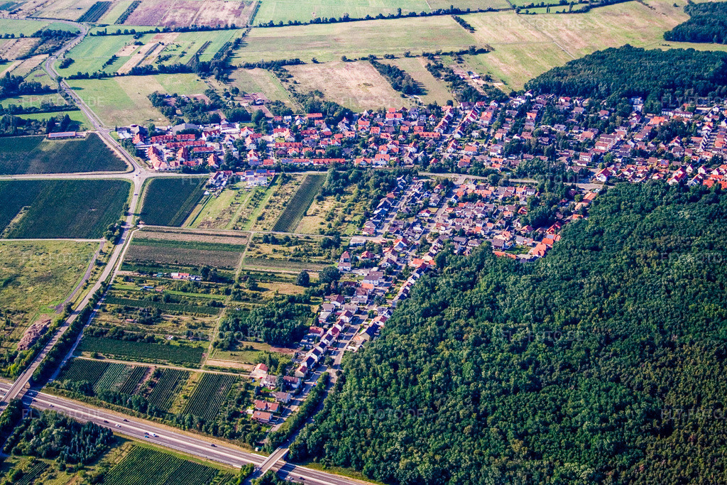 Luftbild: Akaziensiedlung von Süden in Ellerstadt im Bundesland Rheinland-Pfalz in Deutschland. Foto: IMG_12683.jpg vom 17.08.2008 durch Werner Riehm/FLY-FOTO.de