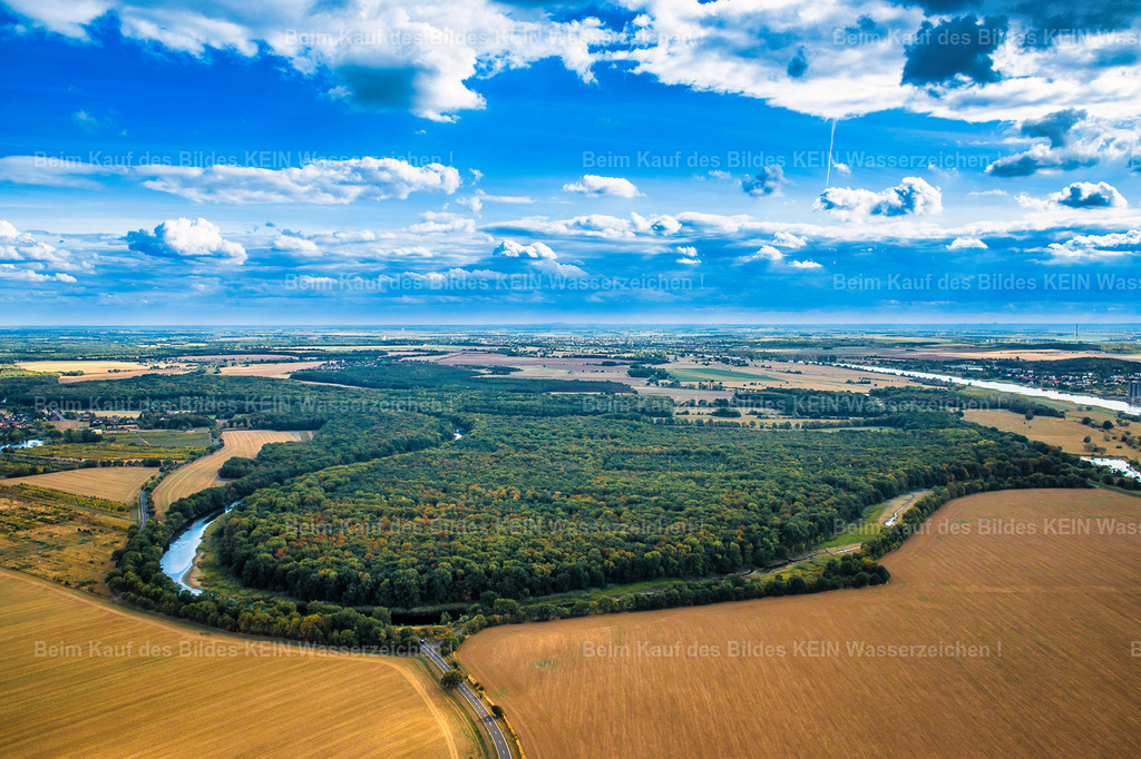 Magdeburg_Kreuzhorst_Prester-1011 | Magdeburg Kreuzhorst - Realizado com Pictrs.com