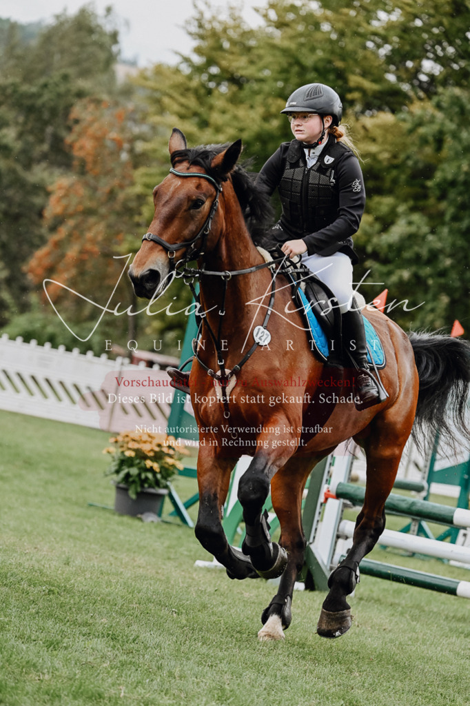 DSC_6872 | Pferde- und Turnierfotografie in Westsachsen. Pferdeportraits, Auftragszeichnungen und intuitive Kunst.