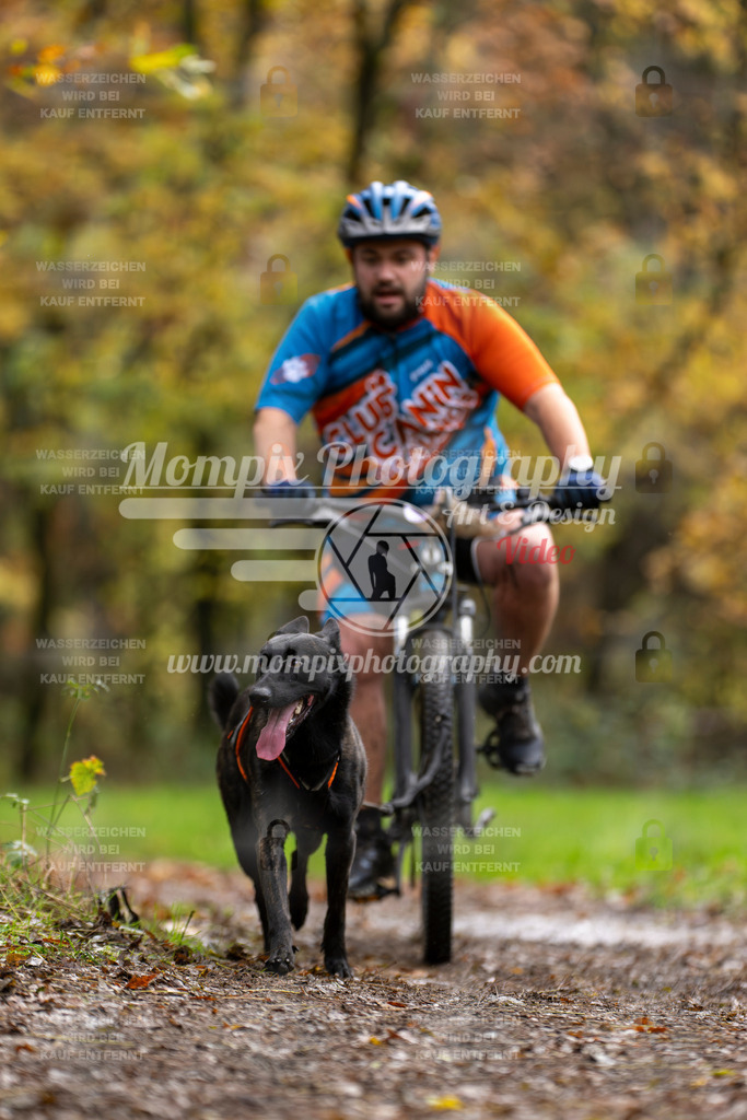 MompixPhotography_Bischwiller23_Bike-35 | PayLife