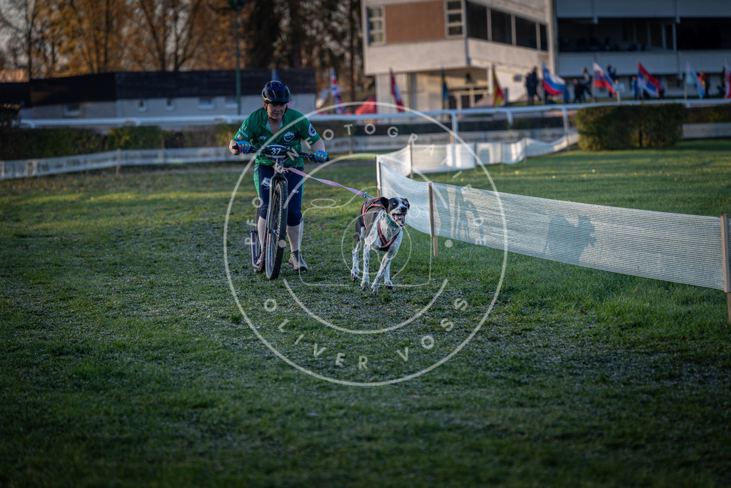 CaniXpix_0L8A1839 | Hundefotografie, Tierfotograf, Pfotenfotografie, Fotoshooting Hund, Hunde Portrait, Hundesport, Hundeportraits, Heideshooting, Hunde, Sportfotograf, Hundefotograf, Turnierhundsport, THS,  - Realisiert mit Pictrs.com