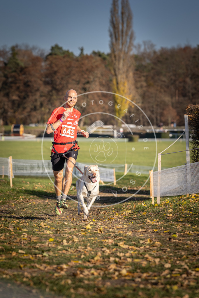 CaniXpix_DV3A0359 | Hundefotografie, Tierfotograf, Pfotenfotografie, Fotoshooting Hund, Hunde Portrait, Hundesport, Hundeportraits, Heideshooting, Hunde, Sportfotograf, Hundefotograf, Turnierhundsport, THS,  - Realisiert mit Pictrs.com