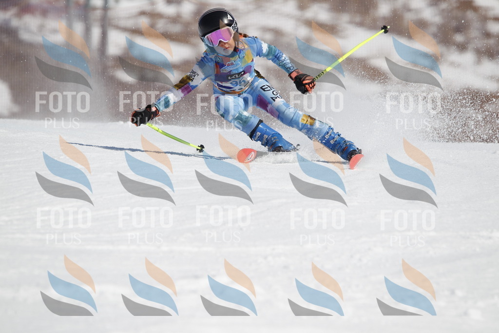 _U3G0247 | holidayphoto