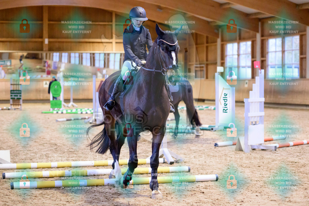 10042026-Mammendorf-Prfg20-0015 | Fokus Hufschlag Fotografie - Realisiert mit Pictrs.com