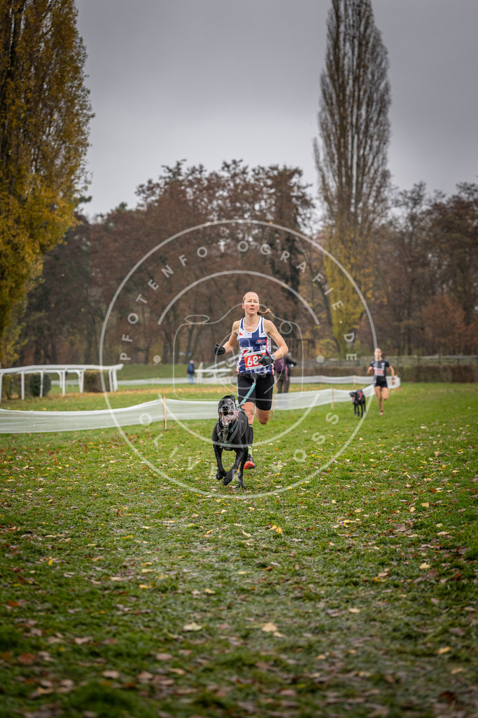 CaniXpix_DV3A9067 | Hundefotografie, Tierfotograf, Pfotenfotografie, Fotoshooting Hund, Hunde Portrait, Hundesport, Hundeportraits, Heideshooting, Hunde, Sportfotograf, Hundefotograf, Turnierhundsport, THS,  - Realisiert mit Pictrs.com