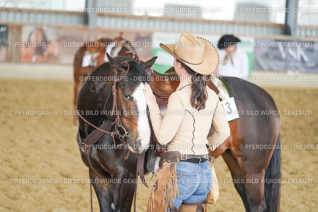 DSC06525 | Pferdegrafie