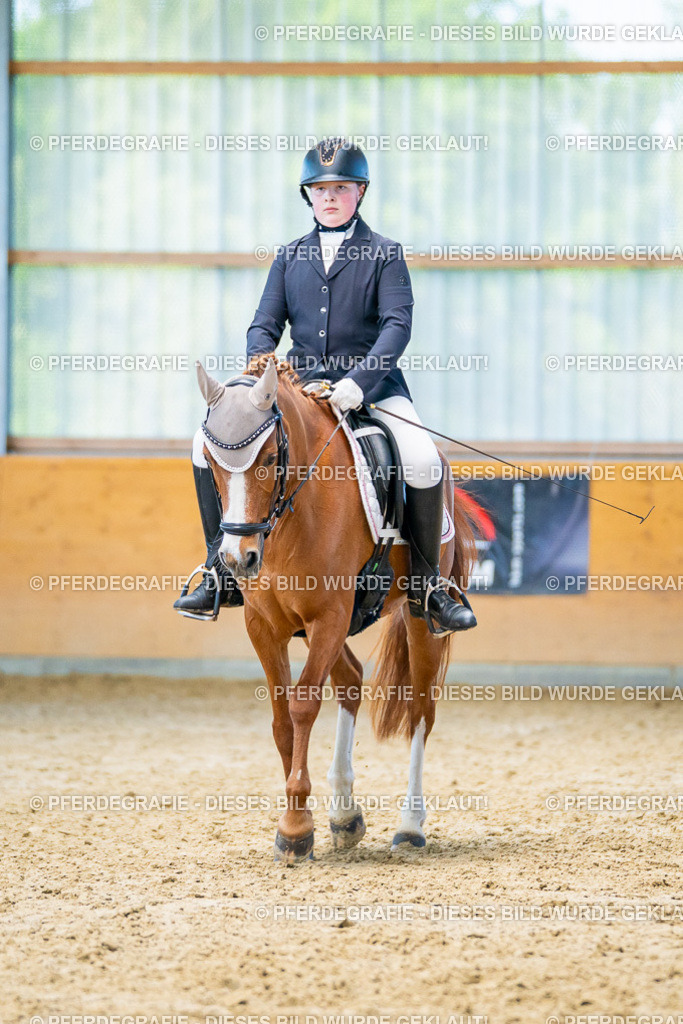 DSC07705 | Pferdegrafie