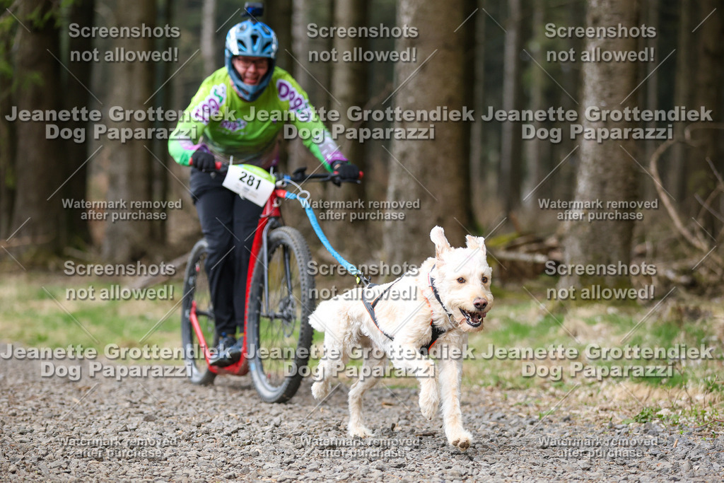 Dog Paparazzi - VCC26-518 | Dog Paparazzi Jeanette Grottendiek Fotografie & Videografie - Realisiert mit Pictrs.com