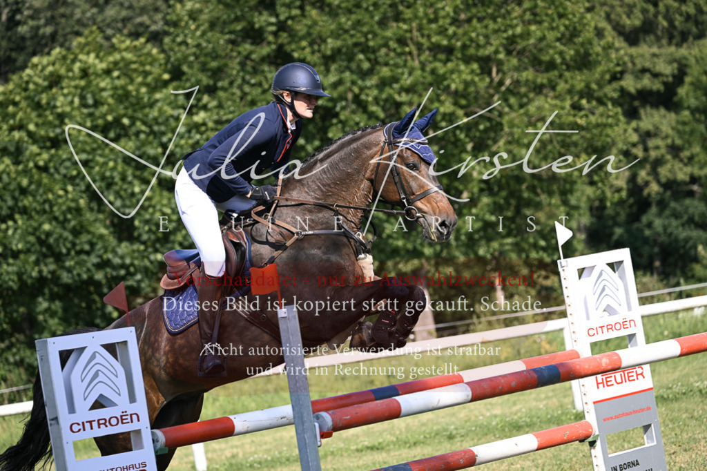 DSC_1430 | Pferde- und Turnierfotografie in Westsachsen. Pferdeportraits, Auftragszeichnungen und intuitive Kunst.