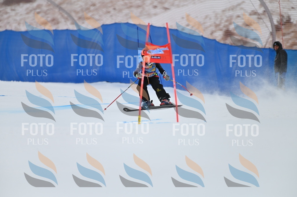 BGV_1738 | holidayphoto