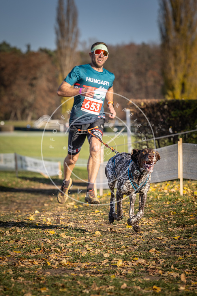 CaniXpix_DV3A0544 | Hundefotografie, Tierfotograf, Pfotenfotografie, Fotoshooting Hund, Hunde Portrait, Hundesport, Hundeportraits, Heideshooting, Hunde, Sportfotograf, Hundefotograf, Turnierhundsport, THS,  - Realisiert mit Pictrs.com