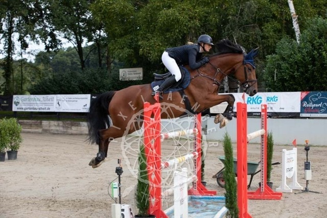 2B4A1122 | pixelfaenger - Realisiert mit Pictrs.com