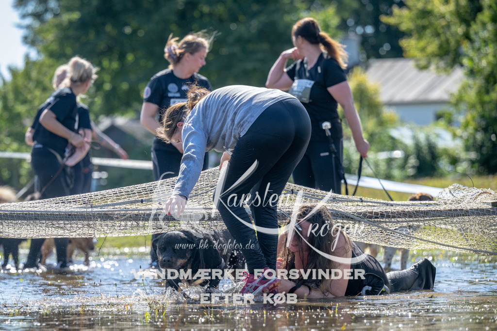 1252_ZZ90271 | kk-dogfotos