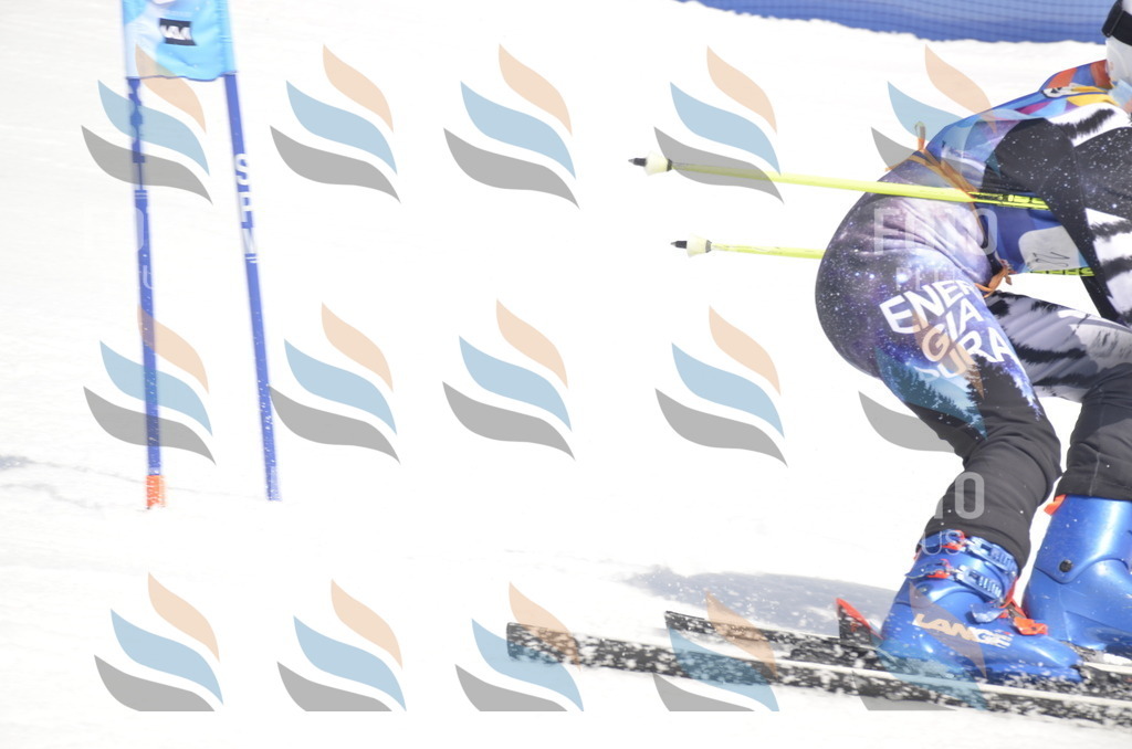 _ELE9014 | holidayphoto