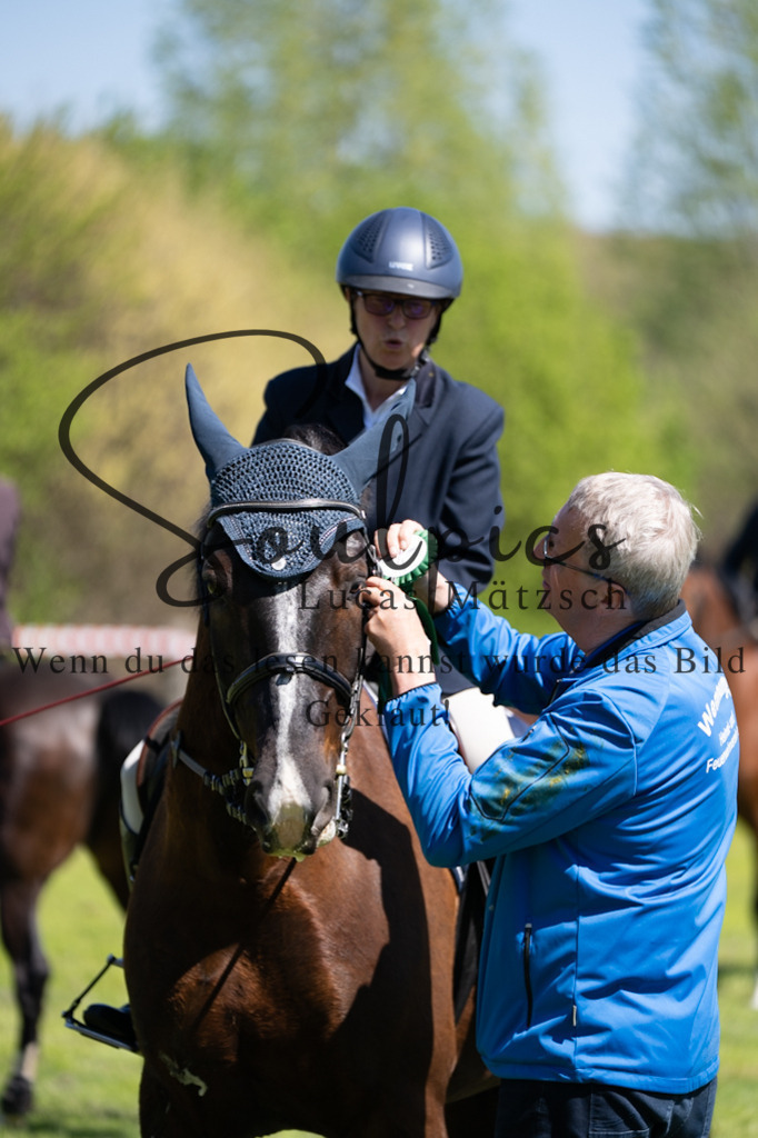 A7V01173 | Pferdefotograf