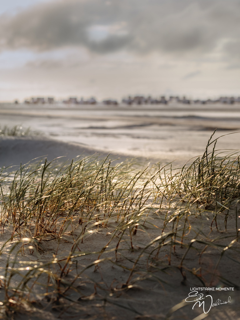 20250606-203813 NORDSEE - SPO _147-1 | Herzlich willkommen auf meiner Seite! Ich bin Elke Wallnisch, Deine Fotografin für lichtstarke Momente. Der Name steht für alles, was mich mit der Fotografie verbindet: Das Licht und seine machtvolle Wirkung auf eine Situation oder unsere Stimmung - Realisiert mit Pictrs.com