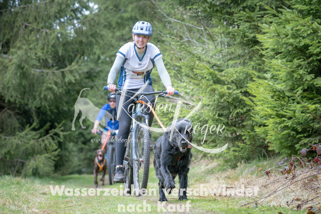 1312_ZZ93992 | kk-dogfotos